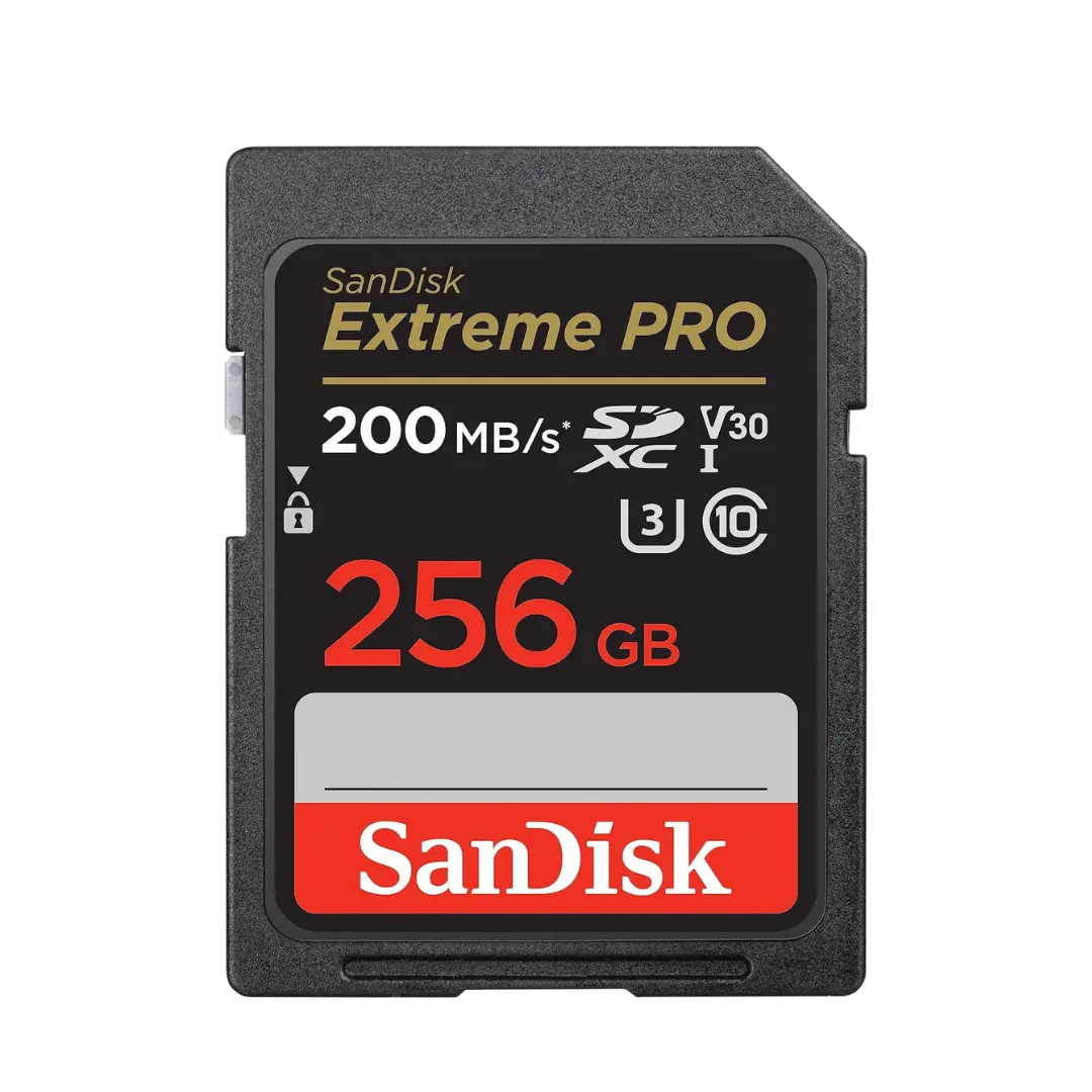 Memoria SD SanDisk 256GB